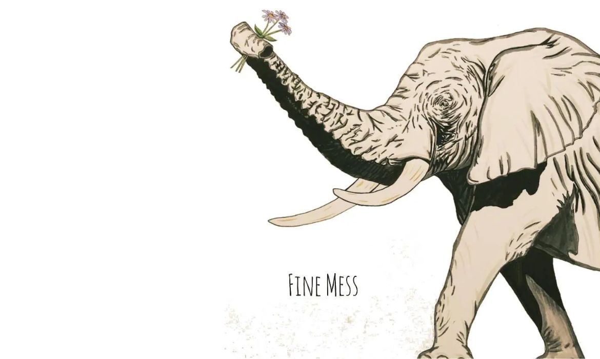 Fine Mess