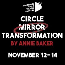 Circle Mirror Transformation